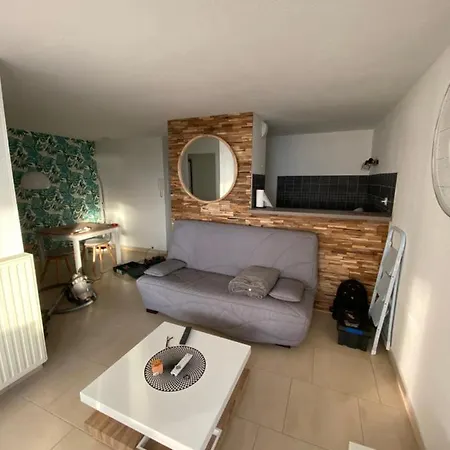 Апартаменти Cap D Magnifique Vue Агд