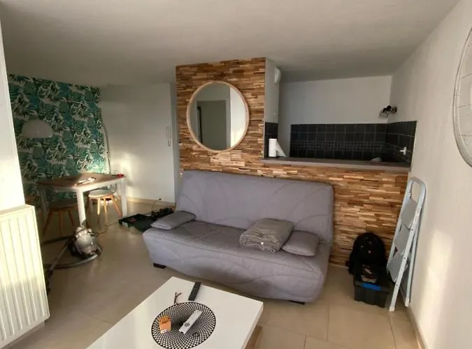 Apartment Cap D Magnifique Vue Agde