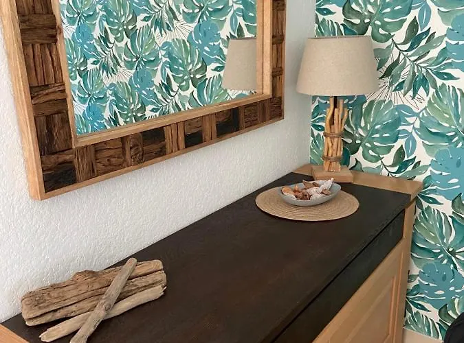 Cap D Magnifique Vue Apartment